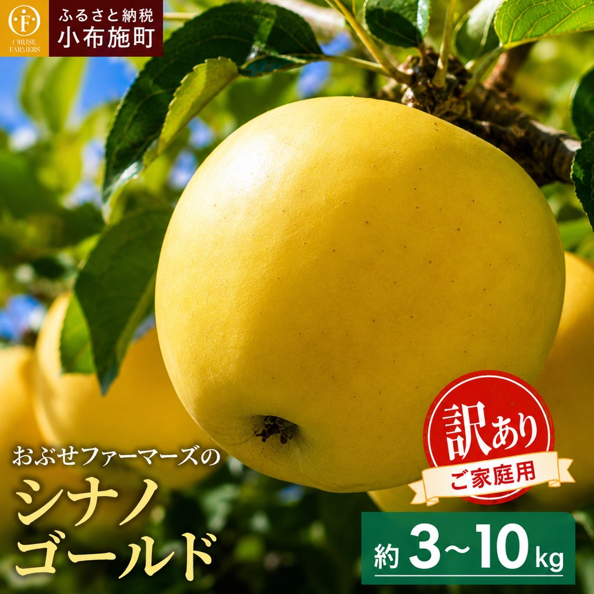 【訳あり】 シナノゴールド 約3kg 6～12玉［おぶせファーマーズ］ 2023年10月下旬〜2024年1月上旬発送