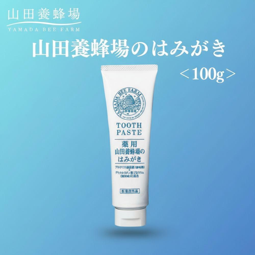 【ふるさと納税】山田養蜂場のはみがき 100g【006-a134】