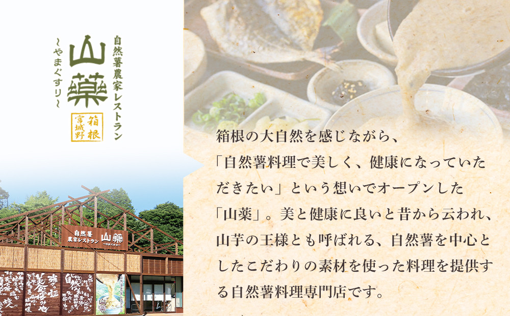 お店の味をご家庭で。【箱根自然薯の森 山薬】自然薯セット(2～3人前×2回分)【とろろ 極上とろろ 山芋 箱根 お家用 家庭用 国産 セット商品 自然薯 神奈川県 小田原市 】