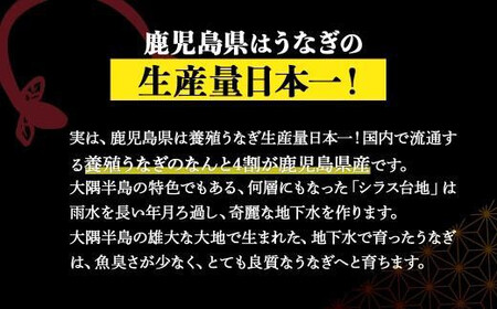 【定期便全12回】 鹿児島県大隅産 千歳鰻 白焼き 2尾 ・ 蒲焼 2尾 （1尾110g～130g）| 白焼き