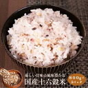 【ふるさと納税】国産十六穀米4kg：B305-004