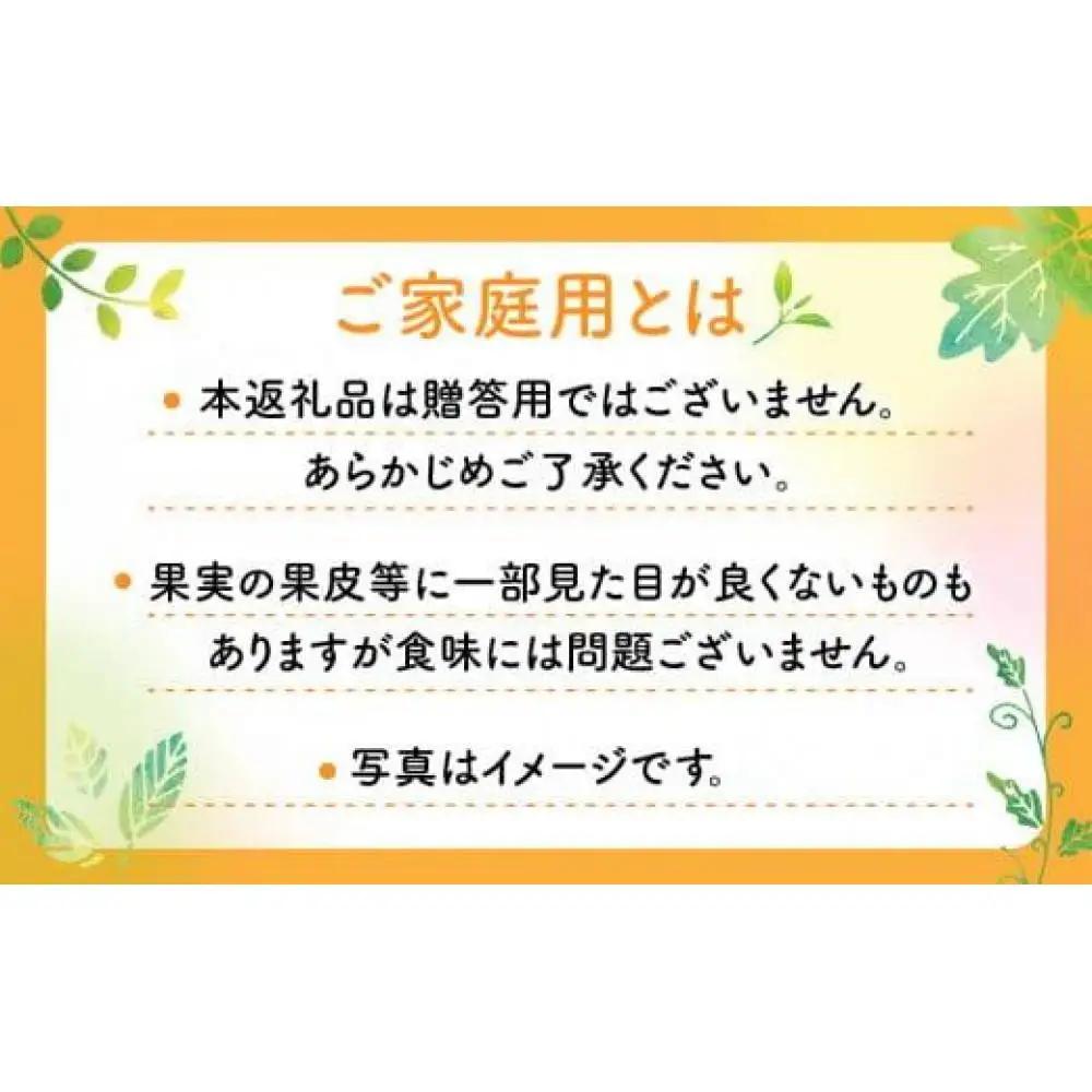 【訳あり】ご家庭用　小原紅早生みかん(サイズおまかせ)約5kg【2026年11月中旬～2027年1月中旬配送】 みかん