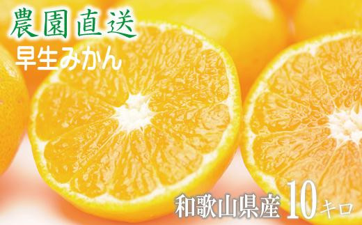 
                  【早生みかん】みかん 10kg 家庭用 大小混合 和歌山県海南市産 産地直送 
                
