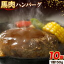 【ふるさと納税】馬肉 ハンバーグ 150g × 10個 桜屋《30日以内に出荷予定(土日祝除く)》 熊本県 南阿蘇村 送料無料 肉 馬肉 ハンバーグ 惣菜 小分け