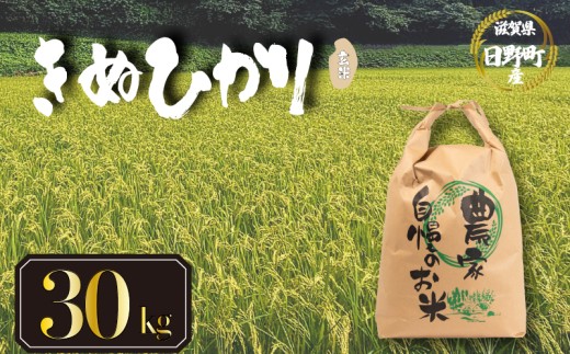 【 令和8年産 米 30kg 】 きぬひかり 米 玄米 国産 滋賀県 日野町 農家直送 お米 おこめ こめ 産地直送 ふるさと納税