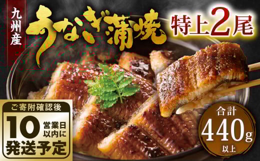 九州産 うなぎ 蒲焼 特上 2尾 計440g以上 (1尾あたり220～235g)【順次発送】