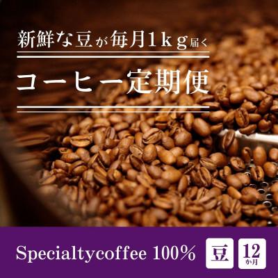 ふるさと納税 豊川市 【毎月定期便】毎月違うコーヒー豆をお届け スペシャルティコーヒー 豆 1kg全12回