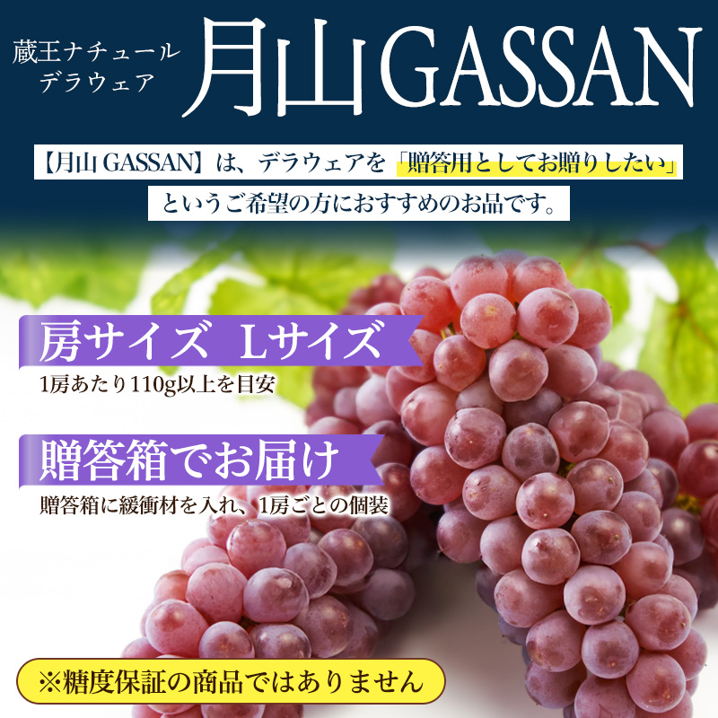 【月山 GASSAN】蔵王ナチュールデラウェア 山形のデラウエア TAKUMI ORCHARD 99% 贈答 L以上 約2kg 山形 山形県 山形市 フルーツ 果物 くだもの 送料無料 ぶどう 葡萄 