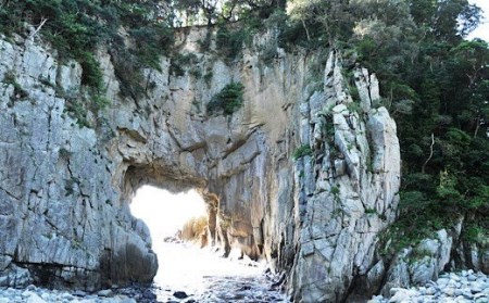 【返礼品なしの応援③】高知県土佐清水市【R00003】