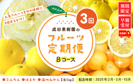 24-710．【3回定期便・早期受付・数量限定】＼人気フルーツを旬の時期にお届け！／成田果樹園のフルーツ定期便Bコース【配送時期：2025年2月・3月・10月】