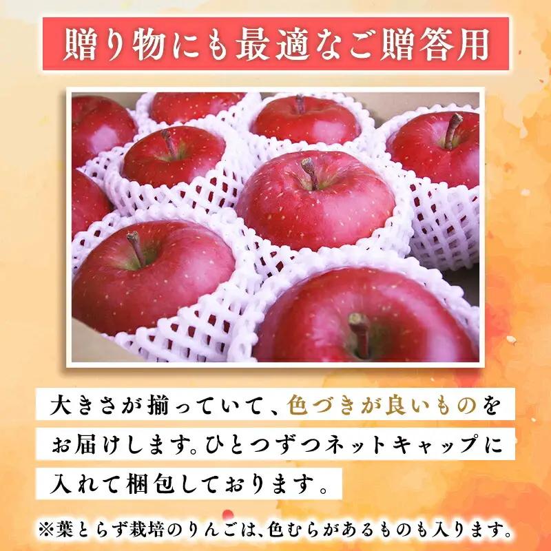 りんご 贈答用 おいらせ10kg [hi-0053-040]