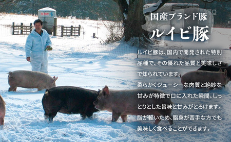 3カ月定期便 餃子 湘南 生 ぎょうざ 20g×200個 大容量 セット 生餃子 ルイビ豚 冷凍餃子 ブランド豚 ギョーザ おかず 総菜 おつまみ つまみ ごはんのお供 中華 お取り寄せ 焼き餃子 冷