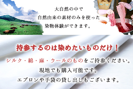 染物体験 香房やまぶどう《30日以内に出荷予定(土日祝除く)》熊本県 南阿蘇 体験 染物