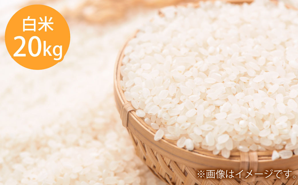 
            令和7年度産 岡山県倉敷市産 きぬむすめ 白米 20kg【2025年10月上旬より発送開始】
          
