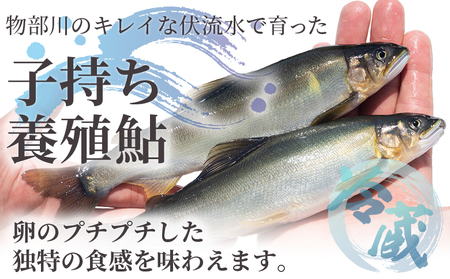 【冷蔵】子持ち鮎 3kg 生鮎 先行受付【鮎 鮎 鮎 鮎 鮎】 kt-0006