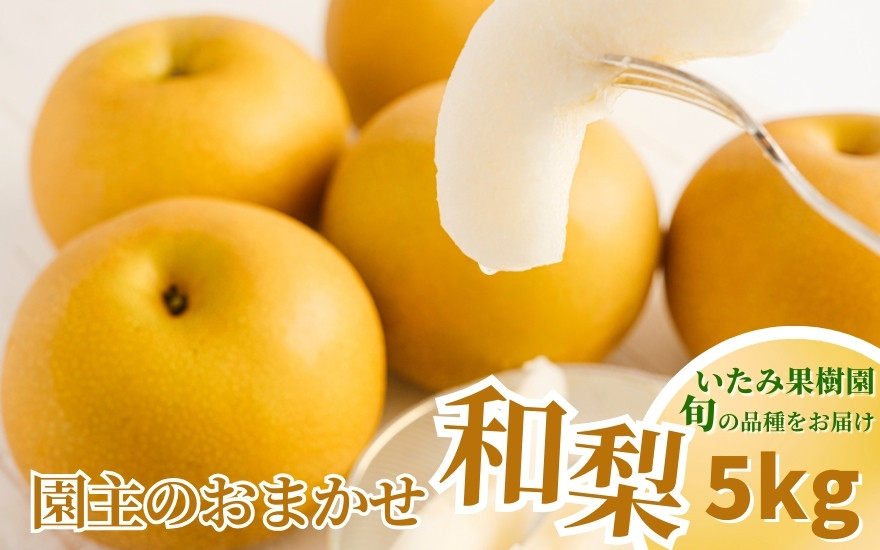 
            【2025年】新潟県産 和梨 おまかせ5kg 【7品種から旬の和梨5kgをお届け！】 園主おすすめ厳選和梨 （ 幸水・秋麗・豊水・あきづき・新美月・新王・新興） 《8月下旬から順次発送》 旬の和梨をお届け おまかせ フルーツ 果物 加茂市 いたみ果樹園
          