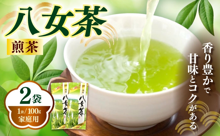 
                  八女茶煎茶 100g×2袋《築上町》【株式会社木村食品(千代海苔株式会社)】 [ABEI005] お茶 茶 緑茶 ギフト 8000 8000円
                