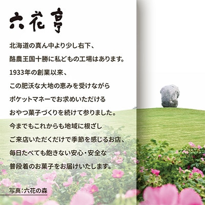 六花亭 六花セレクションA 2セット(1セット:マルセイバターサンド5個+マルセイバターケーキ5個)【配送不可地域：離島】