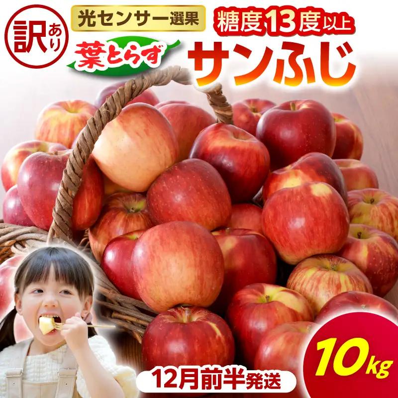 【2026年12月前半発送】【訳あり】 りんご 葉とらずサンふじ 約10kg 青森県産 サンふじ
