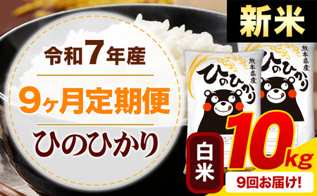 【9ヶ月定期便】新米 令和7年産 白米 ひのひかり 定期便 10kg《申込月の翌月から出荷開始》熊本県産 ふるさと納税 精米 ひの 米 こめ ふるさとのうぜい ヒノヒカリ コメ お米
