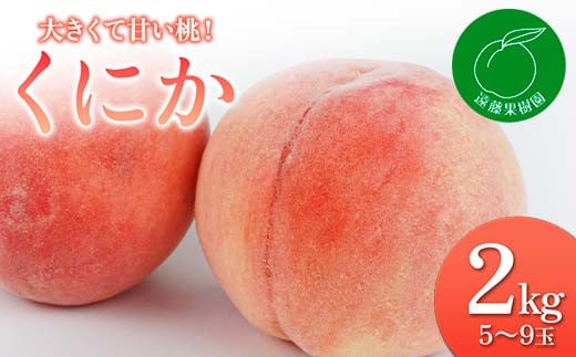 福島県産 くにか 2kg 2025年8月中旬～2025年8月下旬発送 2025年出荷分 先行予約 予約 伊達の桃 桃 もも モモ 果物 くだもの フルーツ 国産 贈り物 ギフト 食品 F20C-830