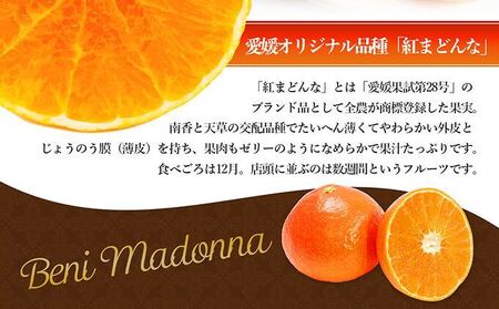 【数量限定 先行予約】愛媛県産 紅まどんな2.7kg[50R0986]【高島屋選定品】青秀 M～３Lサイズ（10～16玉）12月上旬頃～順次発送 ＜ギフト 正規品 甘い みかん フルーツ＞