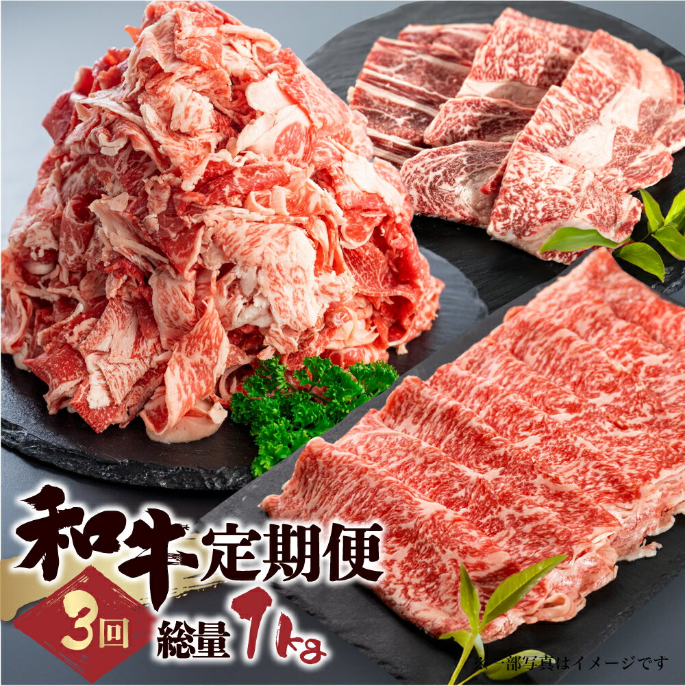 【ふるさと納税】和牛 定期便 3回 総重量 1kg お楽しみ スライス すきやき しゃぶしゃぶ 焼肉 切り落とし 牛肉 切落し 切り落とし 不揃い ふぞろい 訳あり ワケアリ 訳アリ ホルモン もつ BBQ 焼肉 個包装 国産和牛 飛騨市 どやな飛騨市