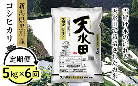 6ヶ月定期便 新潟県黒川産コシヒカリ5kg
