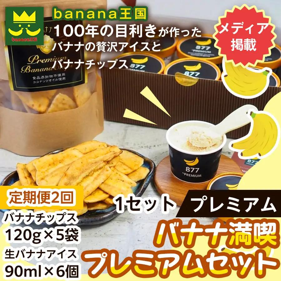 【定期便2ヶ月】【満喫プレミアムセット】プレミアム生バナナアイスクリーム（90ml×6個）・プレミアムバナナチップス （120g×5個） 1セット｜お菓子 デザート 詰め合わせ 食べ比べ ご褒美 人気 ギフト プレゼント 手土産 お祝い お配り 来客用 女性向け おしゃれ おうちカフェ お取り寄せ 贅沢 愛知県 名古屋市