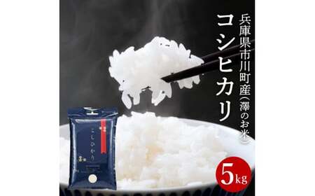 新米 令和７年産 市川町産 コシヒカリ（NICOMARU農場）精米5kg 　013NM01N./ コシヒカリ 精米 お米 ご飯 ごはん 市川町