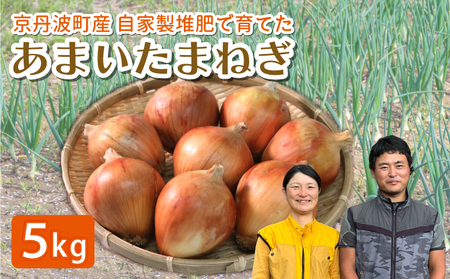 玉ねぎ 5㎏ ( 京都玉ねぎ 京丹波玉ねぎ 玉ねぎ5kg 10000円玉ねぎ )