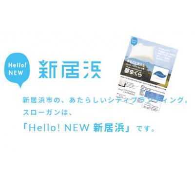 ふるさと納税 新居浜市 高性能ウォッシャブル「夢まくら」ロングタイプ抱き枕　清潔快適(P-4390) 43x90cm |  | 03