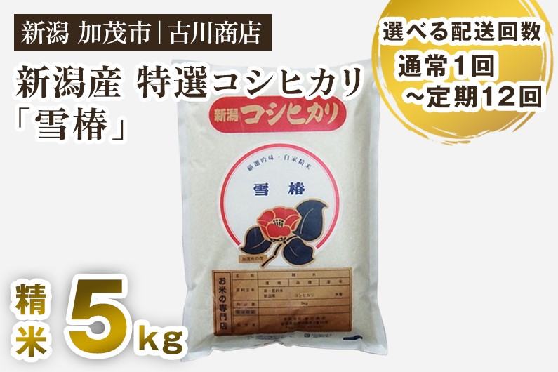 
                  【令和7年産】【定期便】新潟県産 特選コシヒカリ「雪椿」精米 5kg 定期便 隔月便 《順次発送》 白米 加茂市 お米の専門店 古川商店
                