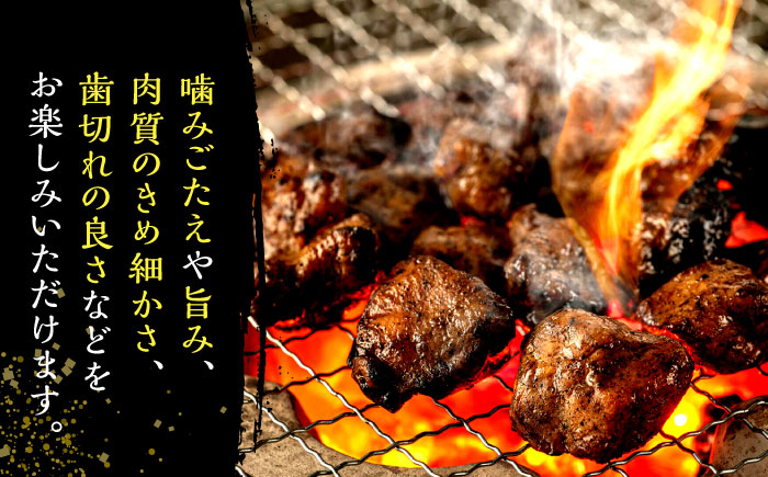 はかた地どり炭火焼きセット500g(100g×5p)  