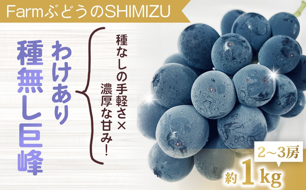 
            【先行受付2026年発送】わけあり種無し巨峰約1kg（2～3房）｜清水農園　※2026年9月中旬以降発送予定※月曜日、金曜日の発送はお休み
          