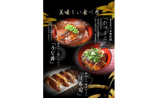 1尾で約215g～240gのビッグサイズ うなぎ蒲焼 2尾 計約430g～480g （タレ・山椒付き） 【通常発送】【nks700B】