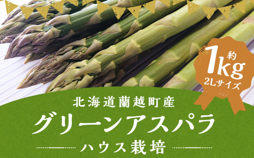 【先行予約】グリーンアスパラ ハウス栽培 2L(約1kg相当) 野菜 アスパラ アスパラガス やさい 【2027年4月下旬～5月上旬発送予定】