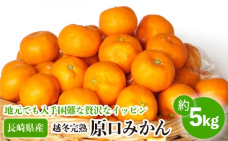 【数量限定】越冬完熟 原口 みかん 約5kg【長崎ぶんたんの会】 [OAF010] / みかん みかん みかん みかん みかん みかん みかん