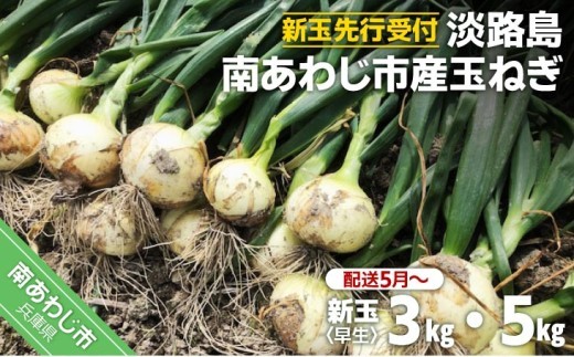 
                  【量が選べる！新玉予約！】淡路島 南あわじ市産玉ねぎ 早生　◆配送5月～
                