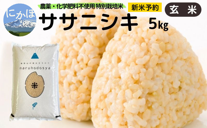 新米予約 栽培期間中 農薬・化学肥料不使用 【玄米】 特別栽培米ササニシキ5kg×1 令和7年産 秋田県 にかほ市 お米 米 こめ