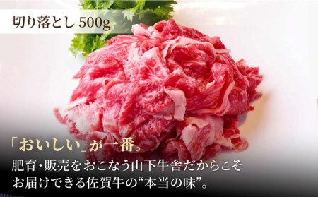 【全3回定期便】佐賀牛 A5 万能ストック3種セットA（切り落とし 500g・ミンチ 300g・牛すじ 300g） HAD121 切り落とし