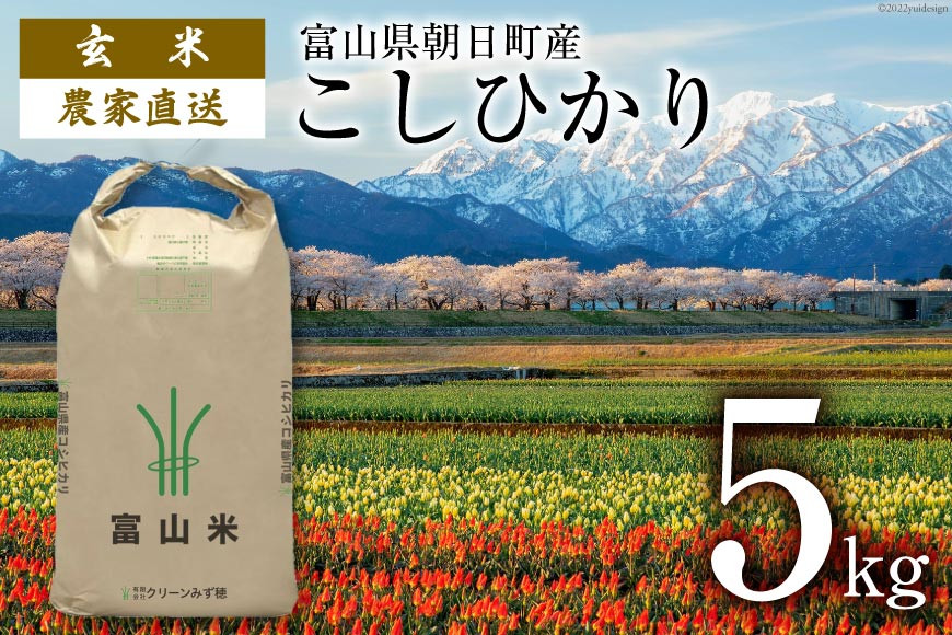 
            期間限定発送 玄米 令和6年 こしひかり 5kg [クリーンみず穂 富山県 朝日町 34310439] お米 コシヒカリ コメ 5キロ ご飯 ごはん 農家 直送 おこめ こめ
          