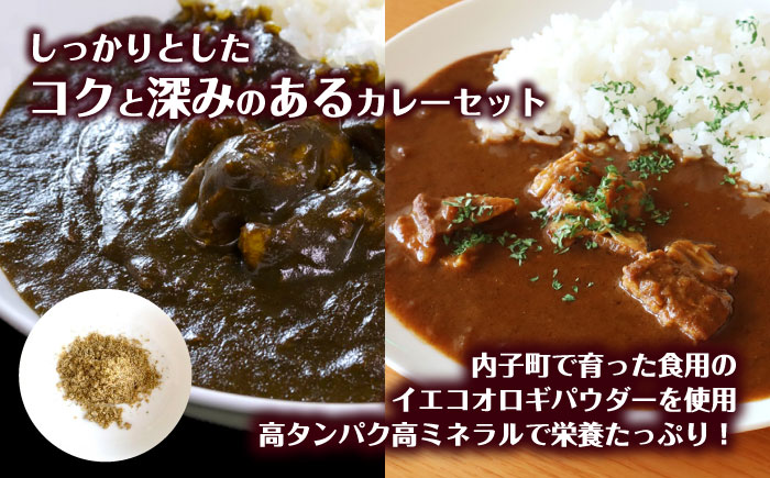 うちこおろぎスープカレー2個と定番コオロギ黒カレー2個セット／国産牛肉 タンパク質 食物繊維 鉄分 亜鉛 保存食 防災 内子町【株式会社ヒューネット風の谷うちこおろぎファーム】 [BKBN003]