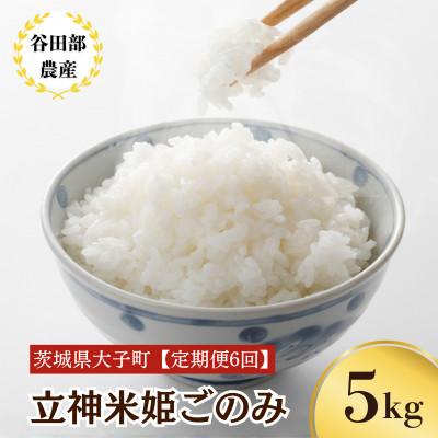 ふるさと納税 大子町 【毎月定期便】立神米「姫ごのみ」5kg|谷田部農産 茨城県 大子町 大子産米 白米 精米全6回