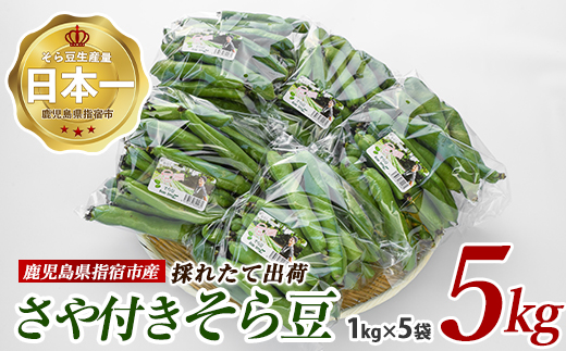 【2026年4月下旬頃までに発送】さや付きそら豆約5kg～春～(アグリスタイル/IB066-001) そらまめ ソラマメ そら豆 豆 旬 春 野菜 サラダ おつまみ ご家庭用
