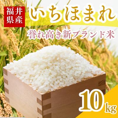 ふるさと納税 小浜市 福井県産いちほまれ白米10kg