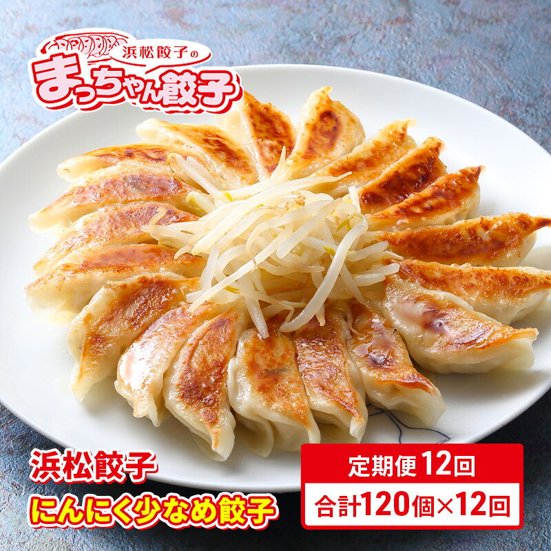 【ふるさと納税】冷凍生餃子 にんにく少なめ 【定期便12回】浜松餃子のまっちゃん餃子 40ヶ入り×3袋 計120ヶセット つまみ おかず 静岡県浜松市　お届け：※寄附金のご入金確認の翌月以降、初回発送から12ヶ月連続でお届けします。