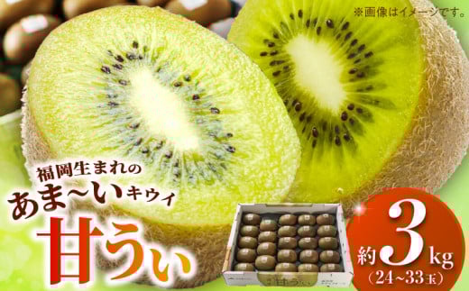 甘うぃ3kg箱_甘い キウイ 甘うぃ キウイフルーツ 3kg 国産 甘みの強い 果実 黄色味 福岡 オリジナル品種 濃厚 まろやか 高糖度 フルーツ 果物 ヨーグルト スムージー ジュース デザート 福岡県 久留米市 お取り寄せ お取り寄せフルーツ 送料無料_Fx018