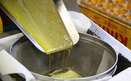 無添加菜の花油で作る究極の香味オイル3種 | 豊後高田市 ドレッシング