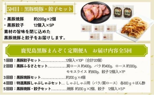 ＜定期便・全5回＞かごしま黒豚まんぞく定期便A (月1回×5ヶ月)